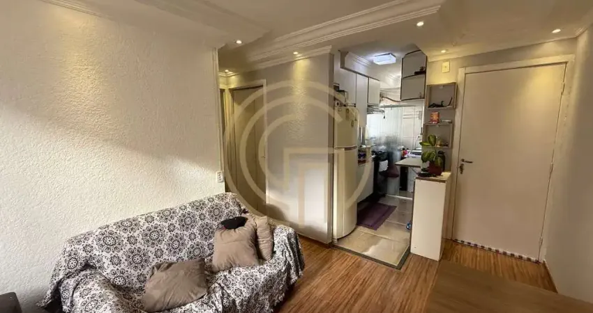 Apartamento de 2 dormitórios no vaz de lima  condomínio tulipas