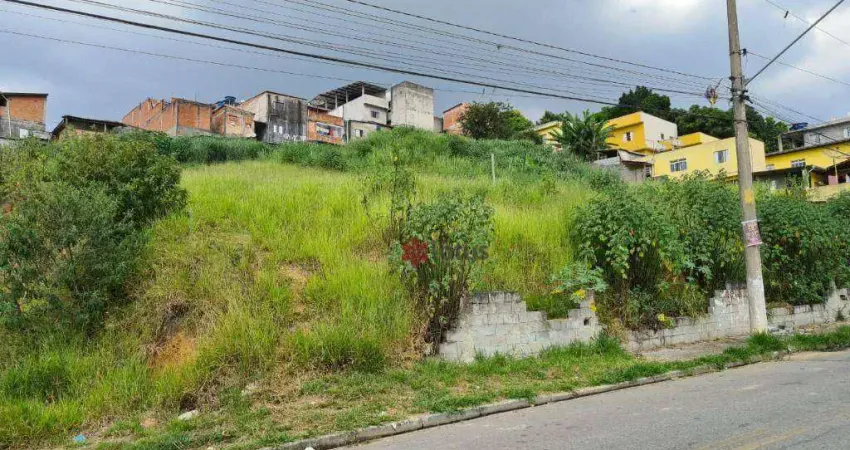 Terreno comercial à venda na Rua Victório Marchezine, 123, Jardim Sabrina (Fazendinha), Santana de Parnaíba