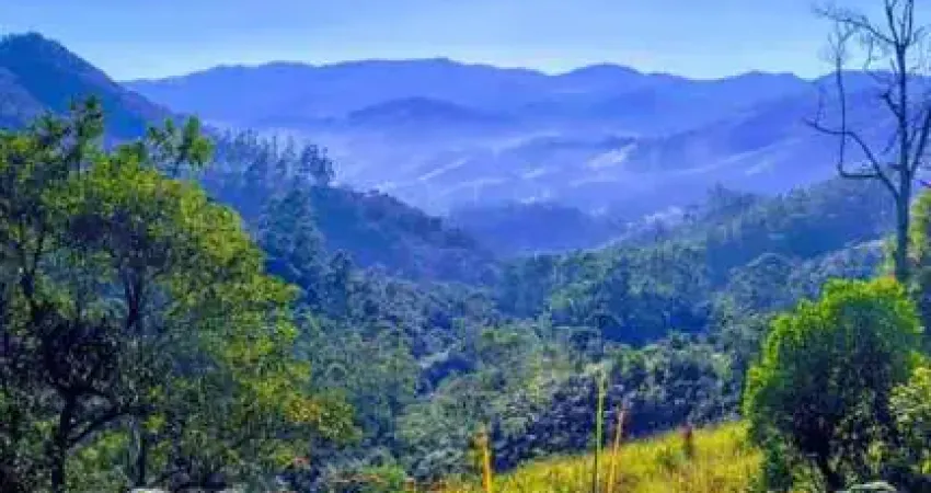 Terreno rural para venda em são luís do paraitinga, palmonan
