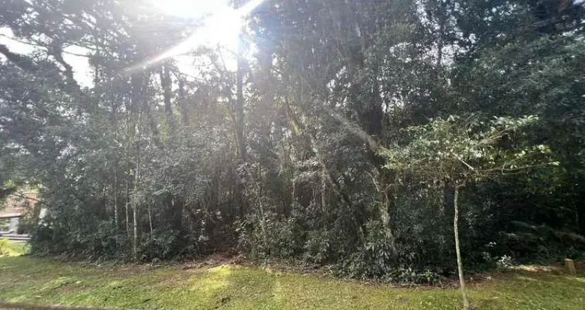 Terreno à venda na centro, Centro, Canela