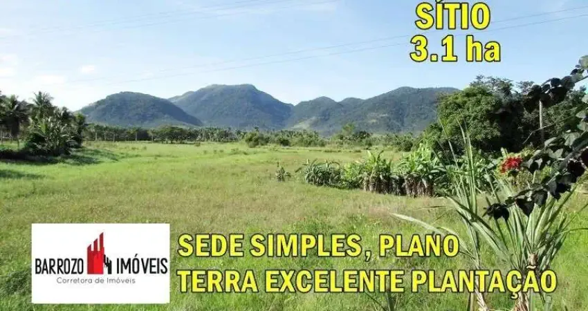 Sítio para venda em cachoeiras de macacu, papucaia, 4 dormitórios, 1 suíte, 2 banheiros