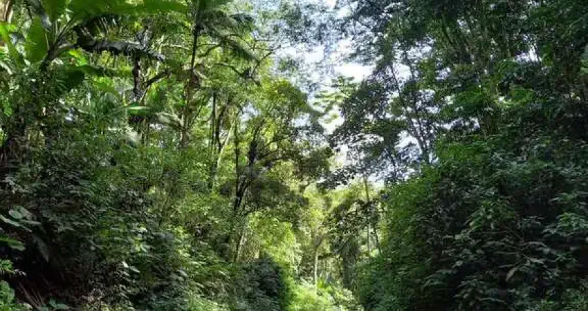 Terreno comercial à venda na Rua Guilherme Manke, SC, Belchior Alto, Gaspar