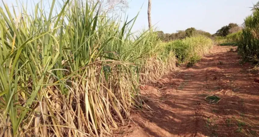 sítio de 32 hectares no assentamento comunidade sadia 3