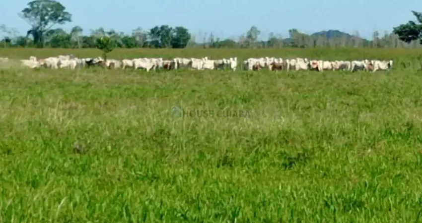 Fazenda à venda na Área Rural, 1, Zona Rural, Cuiabá