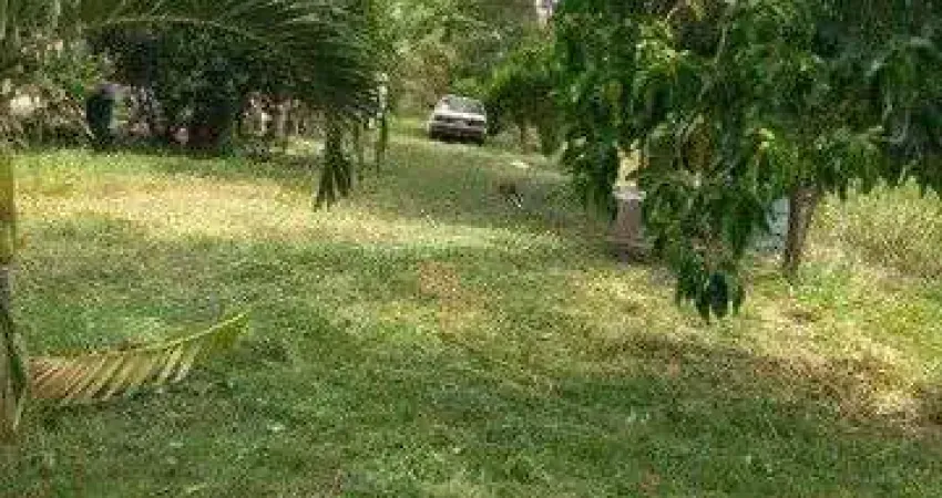 Chácara / sítio com 3 quartos à venda na Área Rural, 5775, Área Rural de Várzea Grande, Várzea Grande
