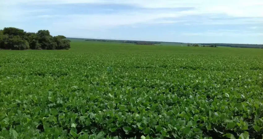 Fazenda a venda no município de Ribeirão cascalheira MT