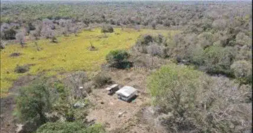 Fazenda à venda na Fazenda Poconé, 1, Zona Rural, Poconé