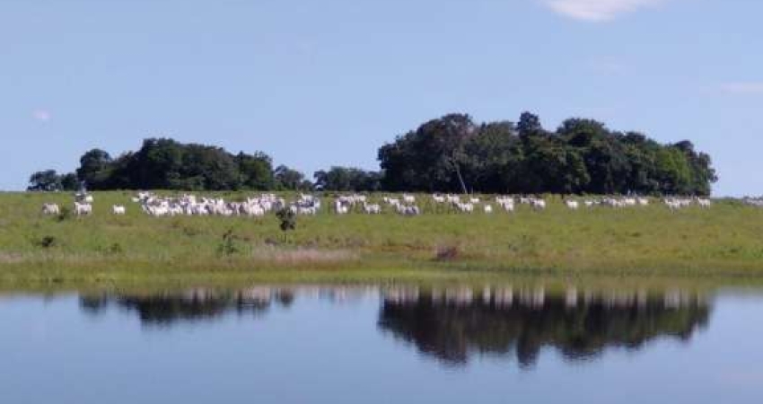 Excelente Fazenda MUNICIPIO DE CRIXAS GOIAS