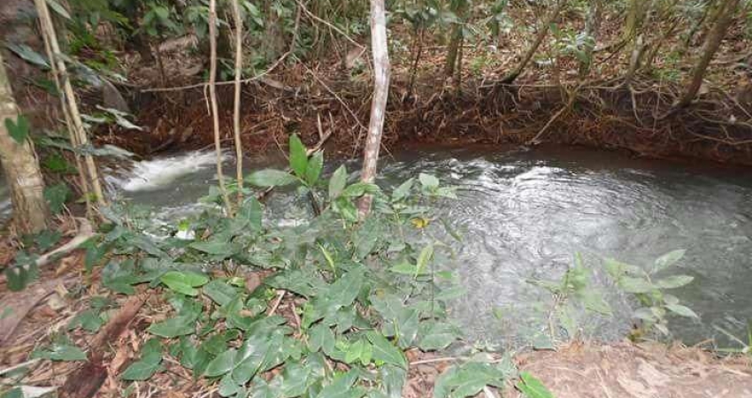 Chácara / sítio com 5 quartos à venda na Sítio, sn, Zona Rural, Campo Verde