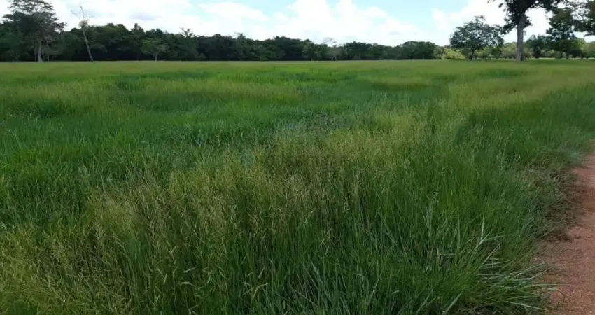SITIO A VENDA REGIAO OLHO D,AGUA SAIDA RONDONOPOLIS