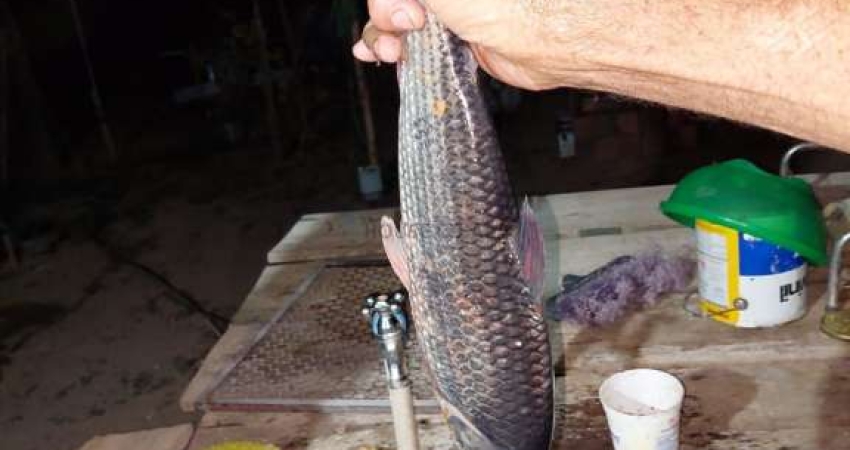 Chácara com pesqueiro rio Cuiabá, região da cidade de Santo Antônio do Leverger