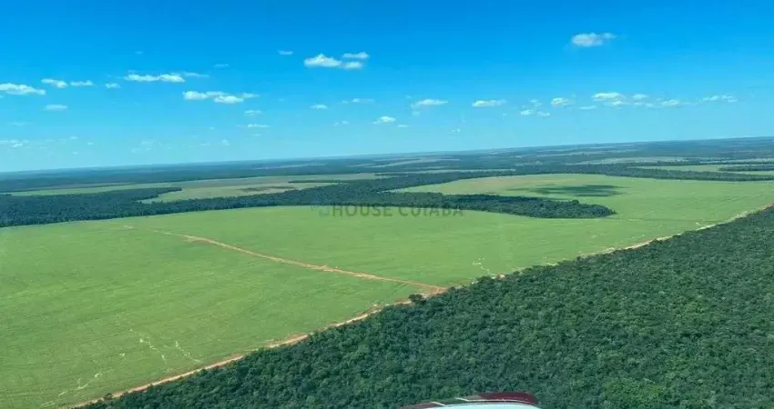 Fazenda à venda na ESTRADA RURAL, 17, Zona Rural, Nova Mutum