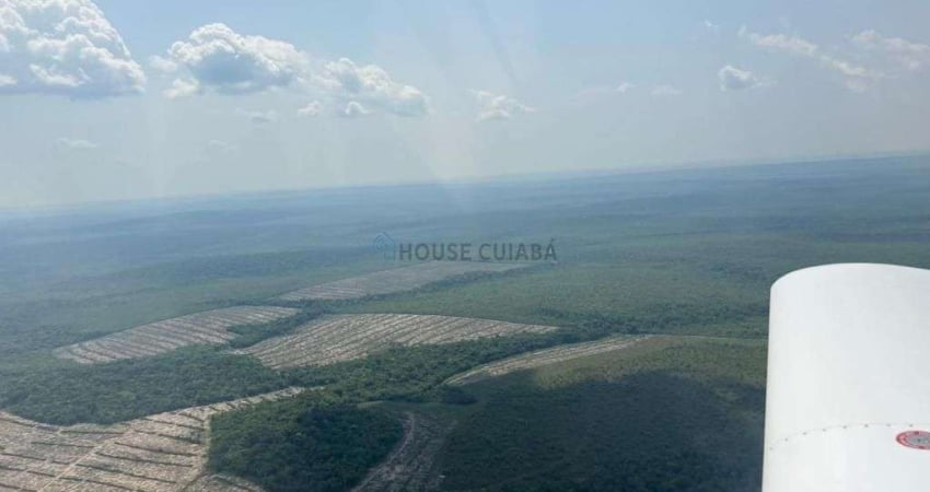 Fazenda à venda na estrada rural, 22, Zona Rural, Juara