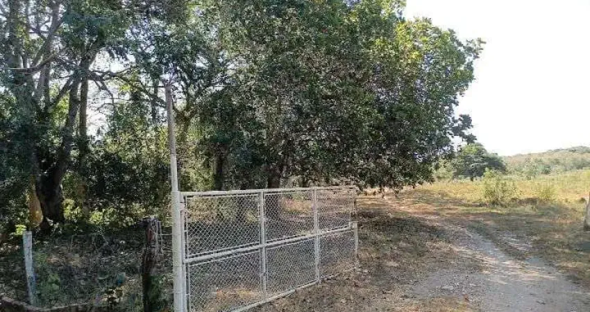 Chácara / sítio com 3 quartos à venda na Nossa Senhora da Guia/MT, 10, Zona Rural, Acorizal