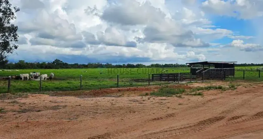 Fazenda à venda na estrada rural, 17, Zona Rural, Santo Antônio do Leverger