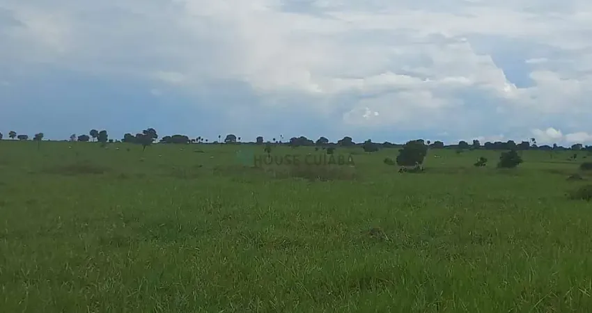 Fazenda de 1.015 alqueires (4.912,6 hectares). Terra dupla aptidão com estrutura