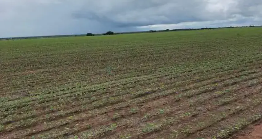 fazenda no município de Mundo Novo – GO, 1.515 hectares,