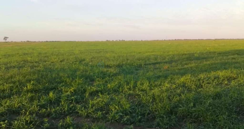 fazenda Entre Serra Nova Dourada e São Félix Araguaia MT