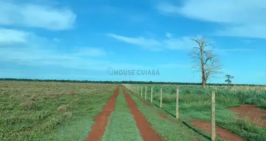 fazenda de 159 alqueires no município de Santa fé no estado de Goiás