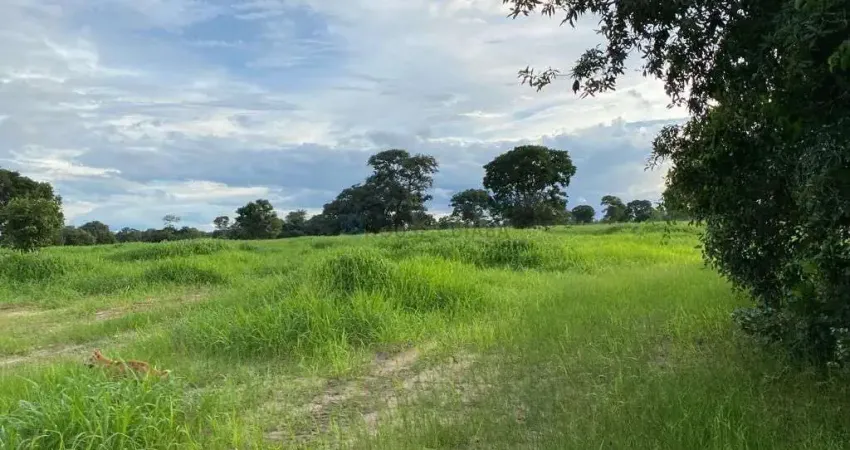 fazenda de 575 alqueires somente 12 km da cidade de Novo Mundo no estado de Goiá