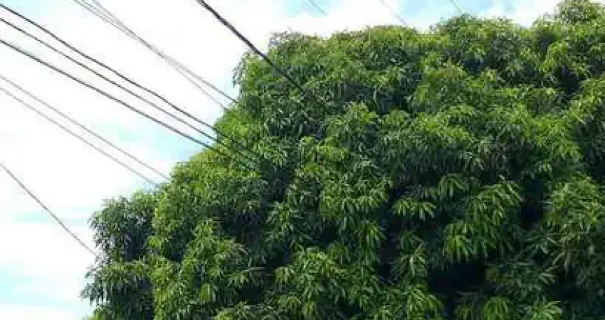 Terreno à venda na Avenida Tuiuiú, 02, Morada da Serra, Cuiabá