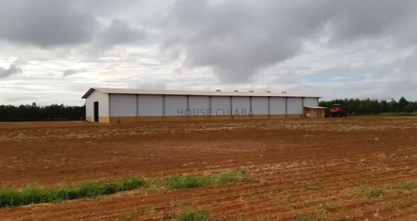 fazenda com área de 12 mil hectares com 8.600 hectares em lavoura