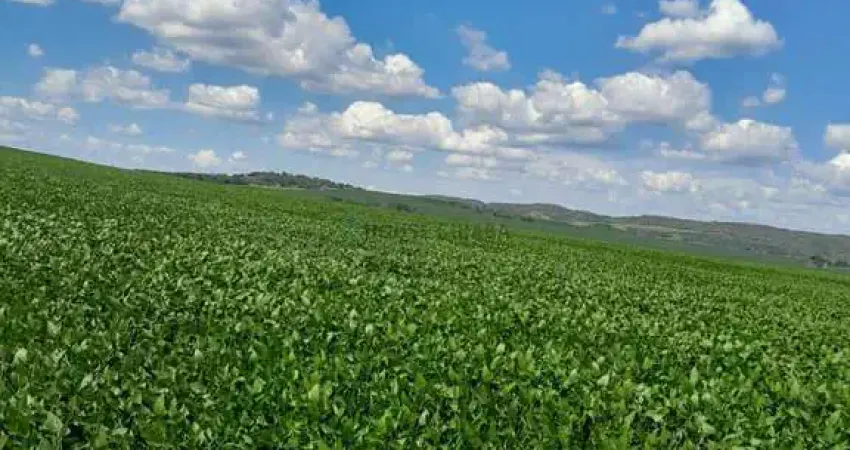 fazenda top de 2.044 alqueres (4.905,60 hectares), no estado de São Paulo SP