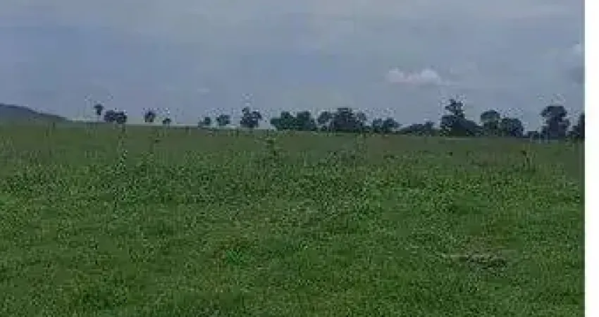 fazenda de 110 alqueres, no município de Jussara no estado de Goiás