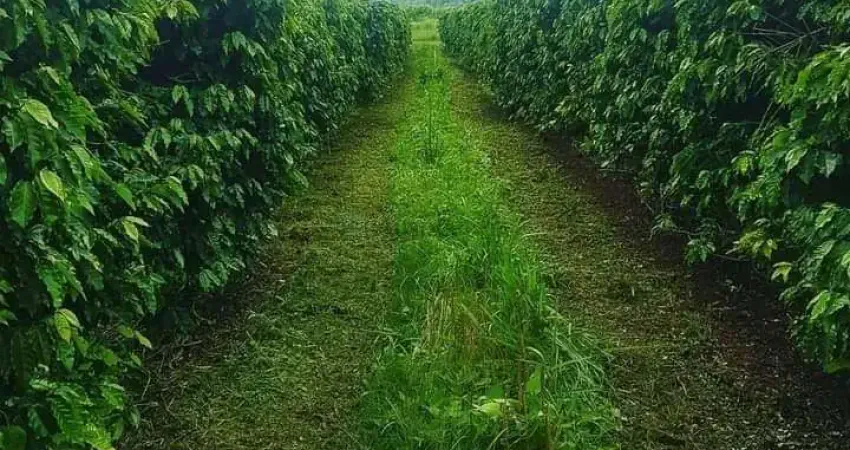 fazenda de 800 hectares (330 Alqueres) na região de Bragança Paulista