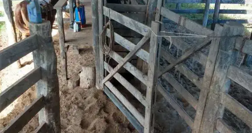 Fazenda de 2.243 hectares na região da cidade de Tesouro MT