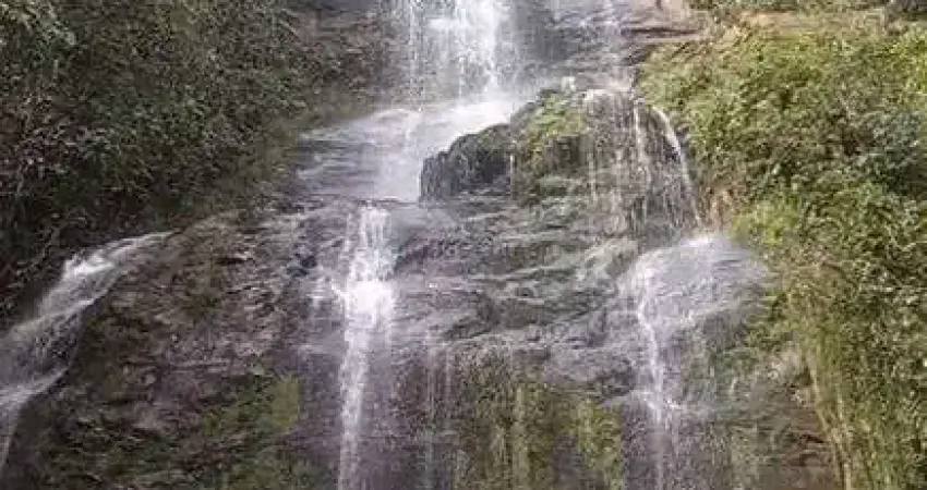 Fazenda à venda na 12,5 km do centro de Buritis, 121, Zona Rural, Buritis