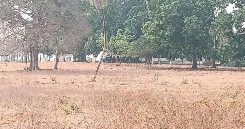 Fazendinha com 100 hectares 15 minutos do trevo do lagarto, na região da comunid
