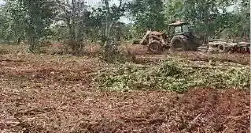 fazenda de 126 alqueires (302,4 Hectares) para dupla aptidão