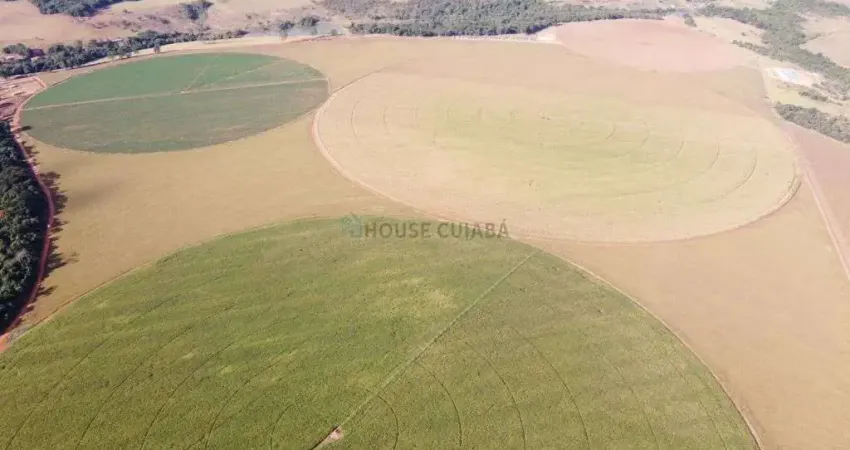 fazenda na proximidade da cidade de Vianópolis no estado de Goiás