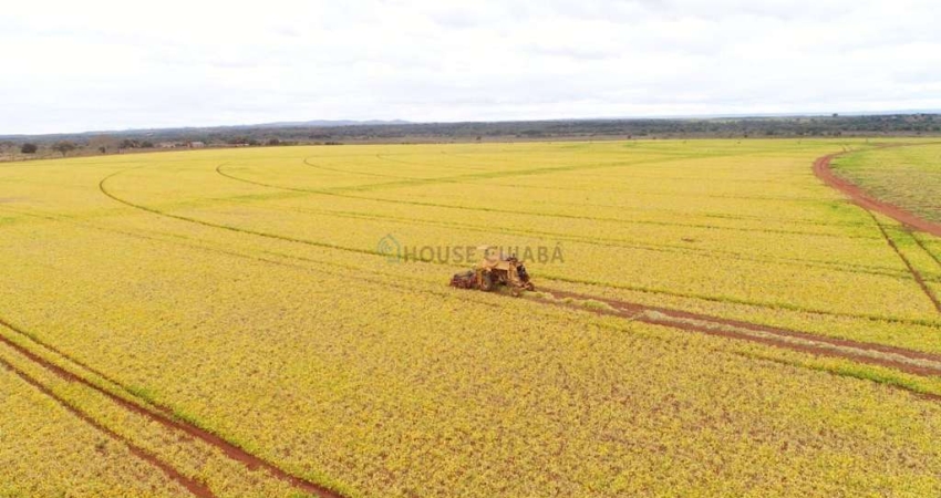 fazenda na região da cidade de Unaí no estado de Minas Gerais