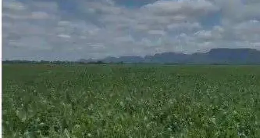 Fazenda de 2.396 hectares na região da cidade de Jangada no estado de Mato Gross