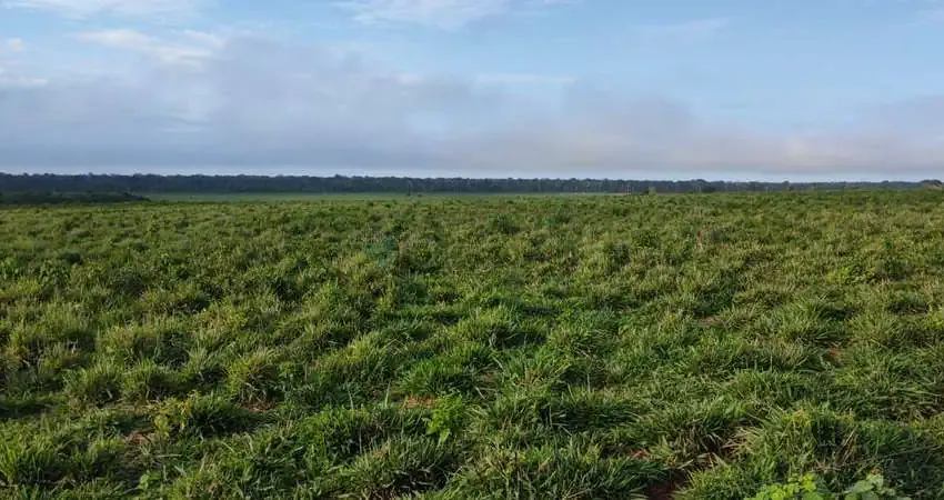 Fazenda de 10.312 hectares na região do município da cidade de Marcelândia no es