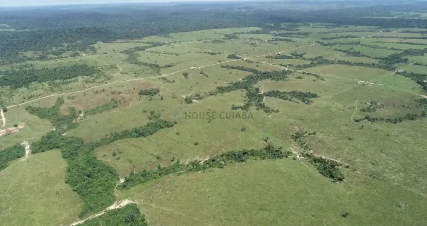 Fazenda de 33.293 mil hectares no município da cidade de Nova Bandeirantes no es