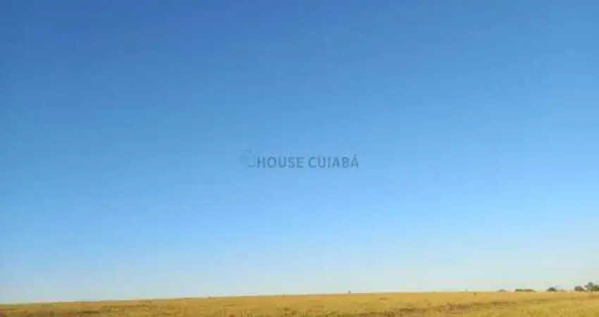 fazenda de 423 hectares no município da cidade Jaciara no estado de Mato grosso