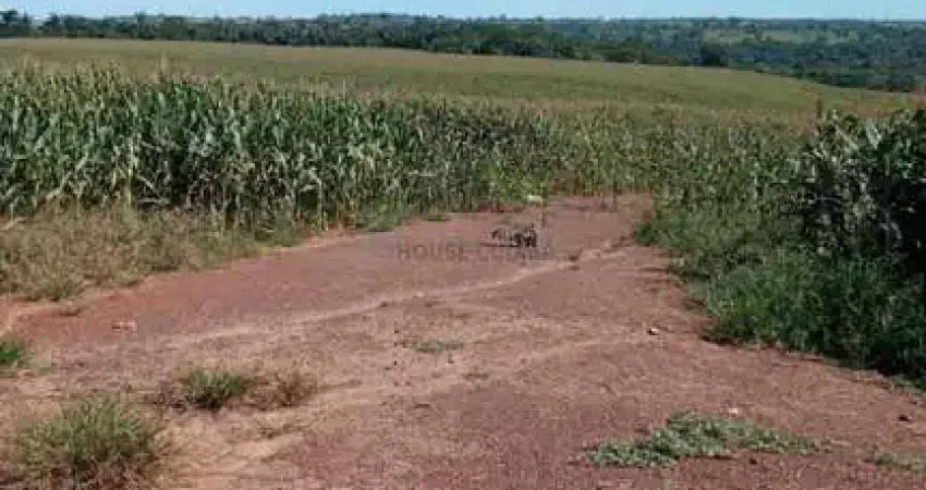 Fazenda de 320 hectares no município da cidade de Juscimeira no estado do Mato g