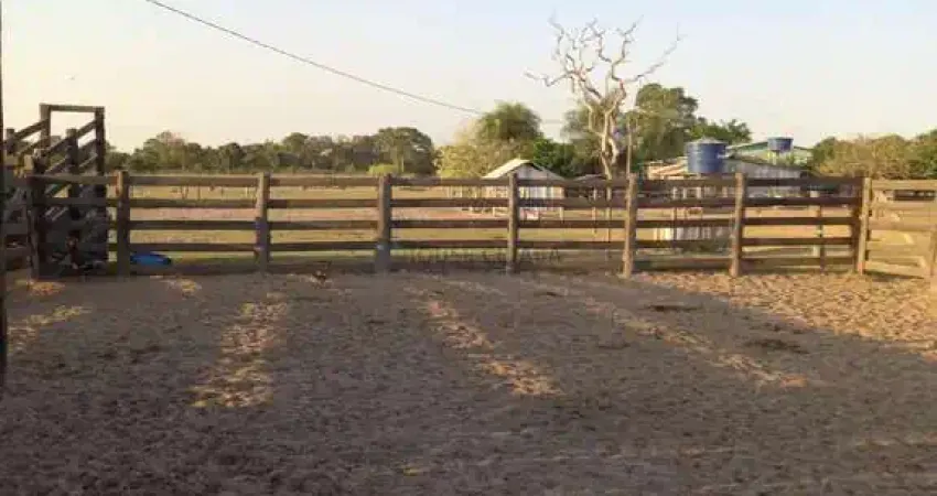 Fazenda de 517 hectares na região entre Pirisal e a cidade de Nossa senhora do l