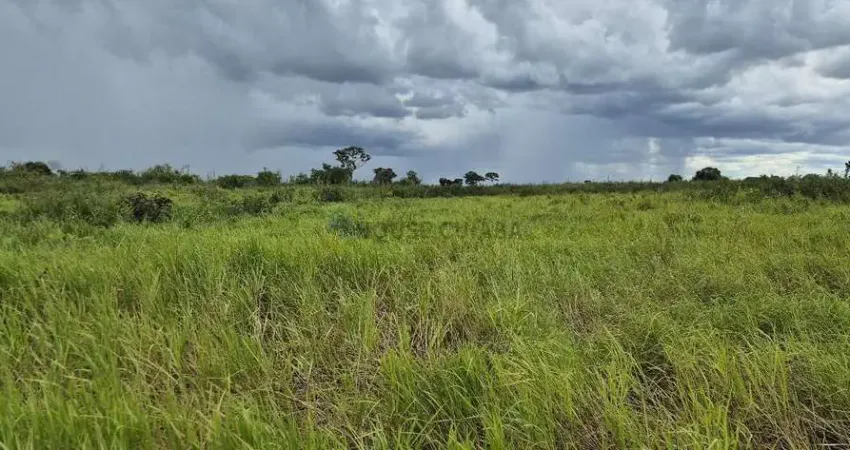 Área de terra de 3.456,03 hectares no pantanal Sul Mato-grossense.