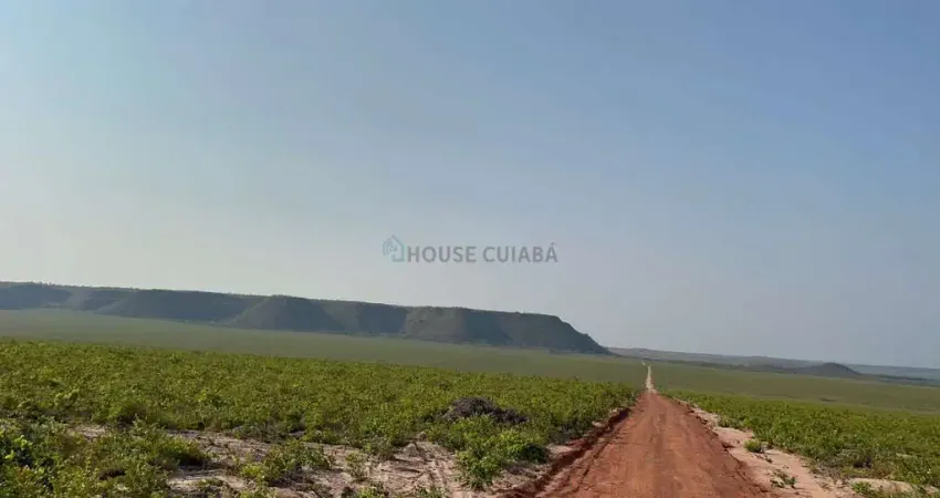 área rural de 15.700 hectares no município de Alto Parnaíba/MA