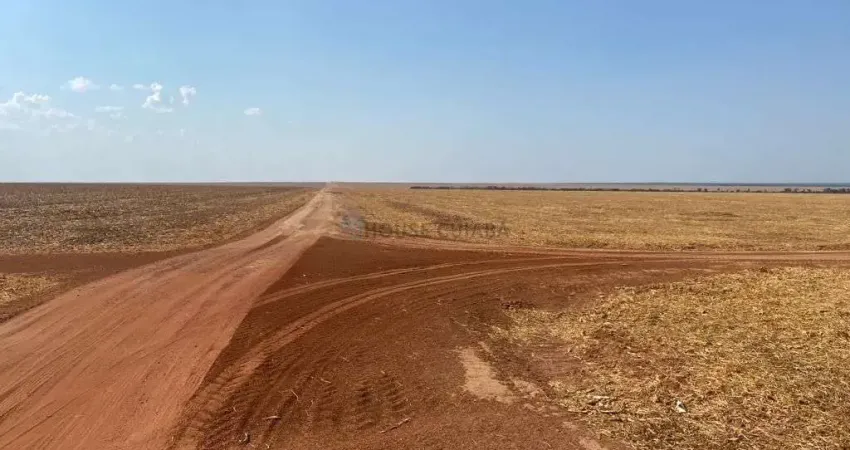 fazenda totalizando uma área de 57 mil hectares, 30 km da cidade de Santana do A