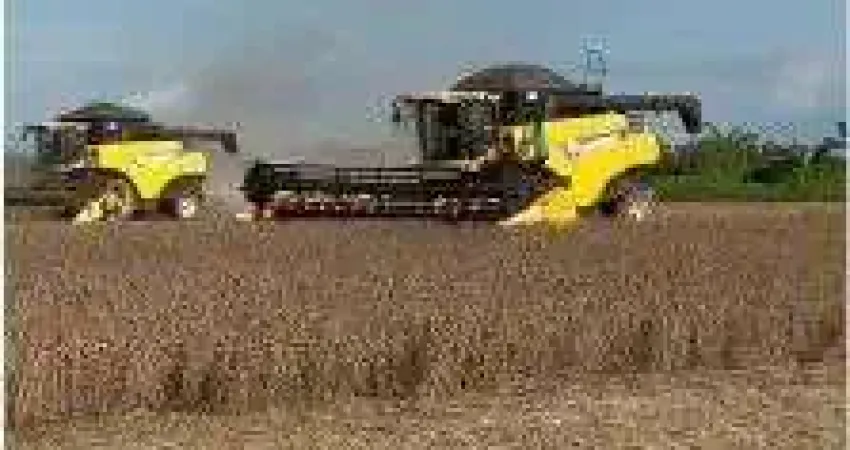 Vendo!!! uma fazenda 13.800 hectares região do xingu mato grosso mt.