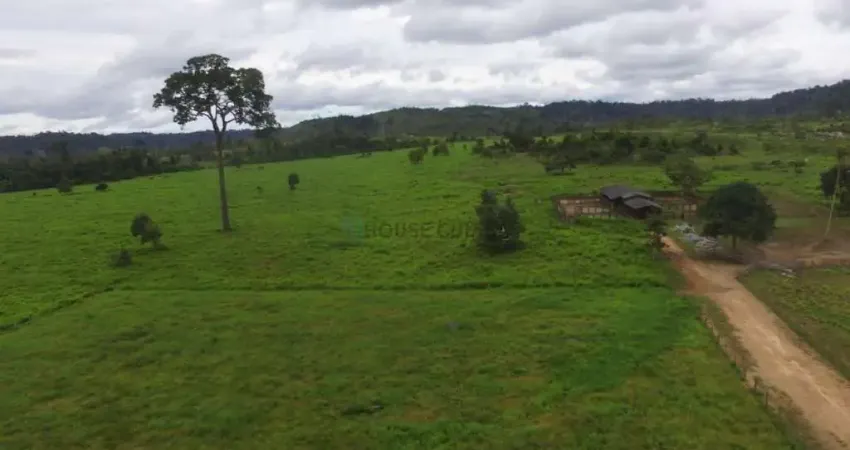 Vendo!!! uma fazenda de 248 alqueires, (595,20 hectares), 70 km de nova bandeira