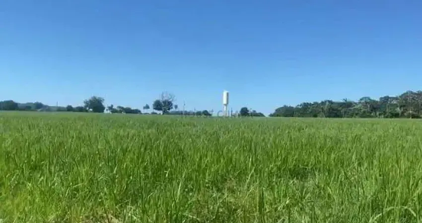 Fazenda à venda na Avenida Fernando Correa da Costa, 98, Jardim Presidente I, Cuiabá