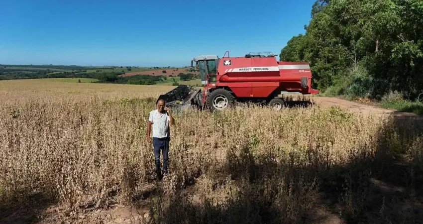 Fazenda à venda na Área Rural 1 km da cidade de Echaporã SP, CI João, Zona Rural, Echaporã