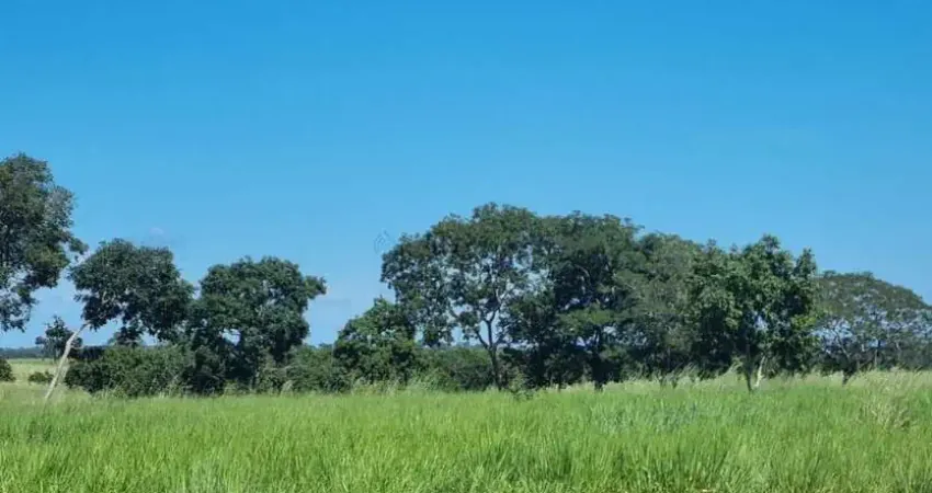 Fazenda premium a 95 km de cuiabá: estrutura completa e pastagens formada