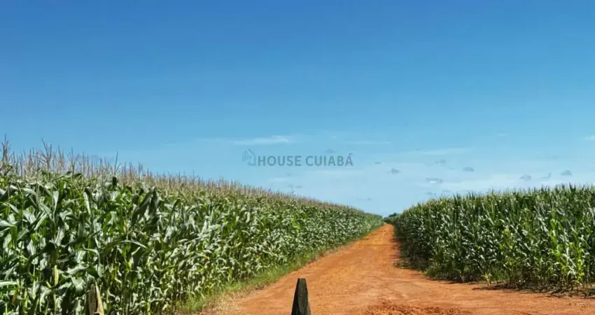 Fazenda à venda alta produtividade agricultura consolidada – região de primavera